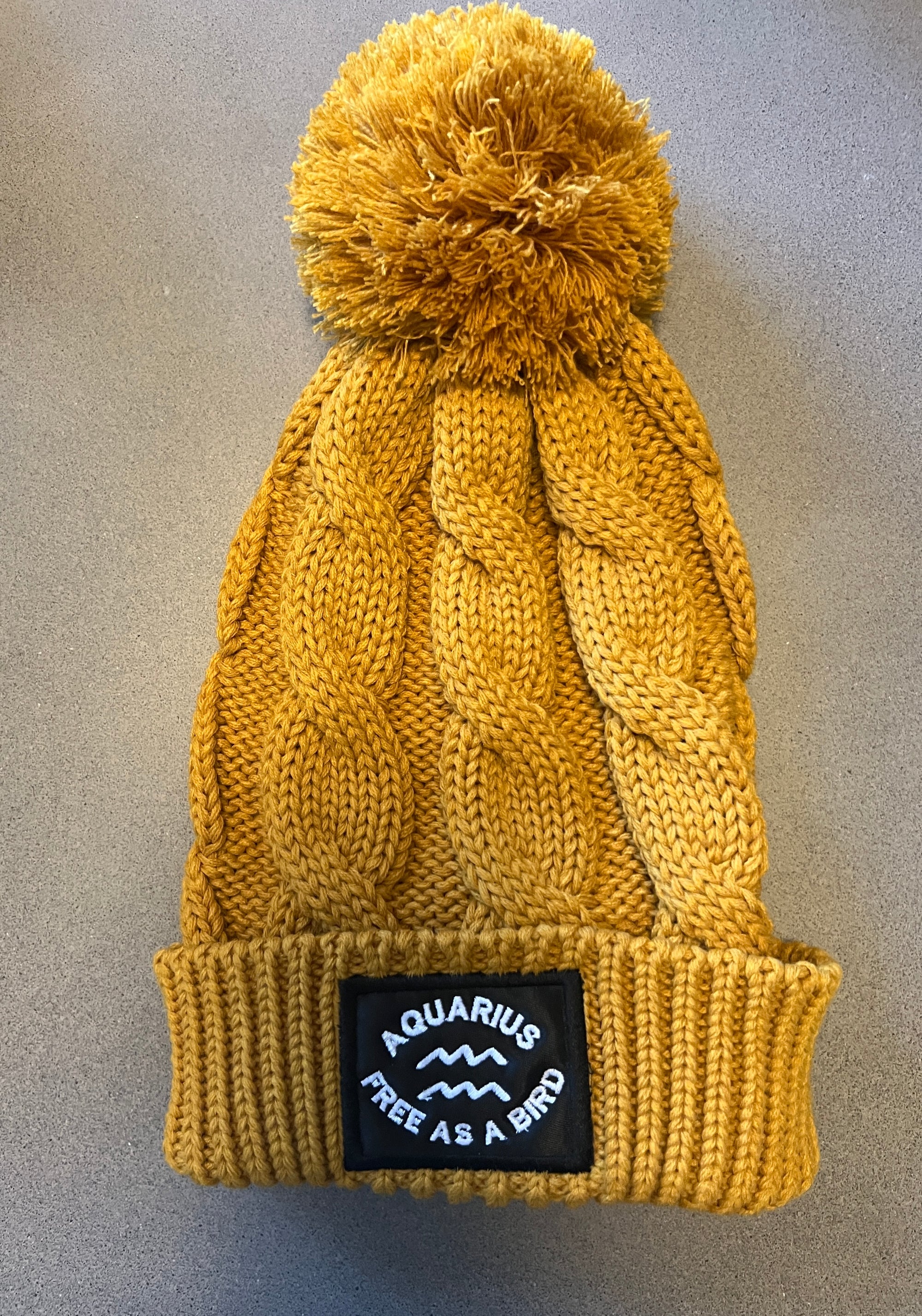THE AQUARIUS BEANIE ~ EMPOWERED