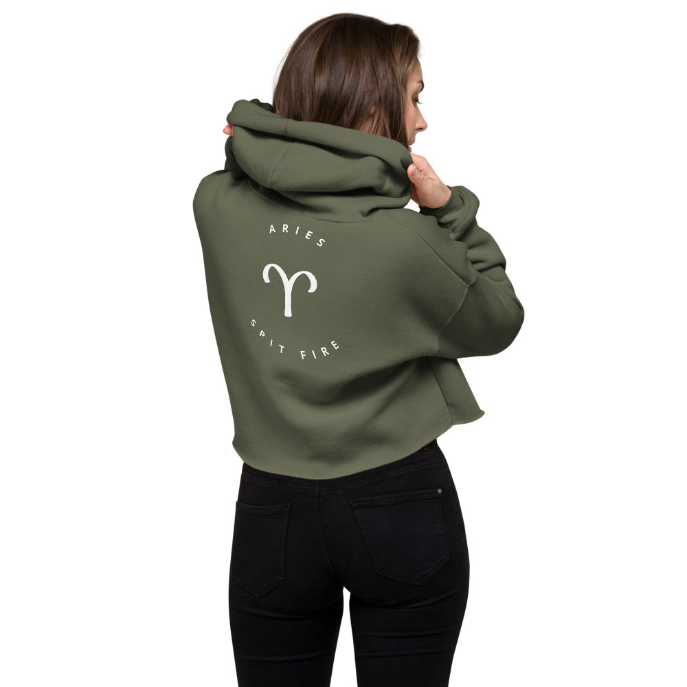 THE AQUARIUS CROP HOODIE