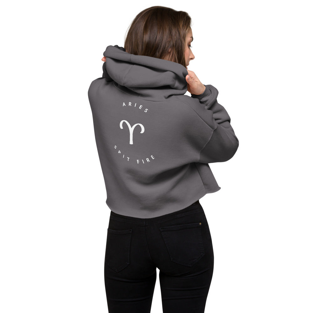 THE AQUARIUS CROP HOODIE
